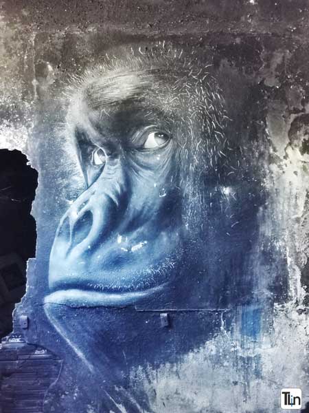 Urbex Chantiers Maritimes du Midi Urbex Chantiers Maritimes du Midi