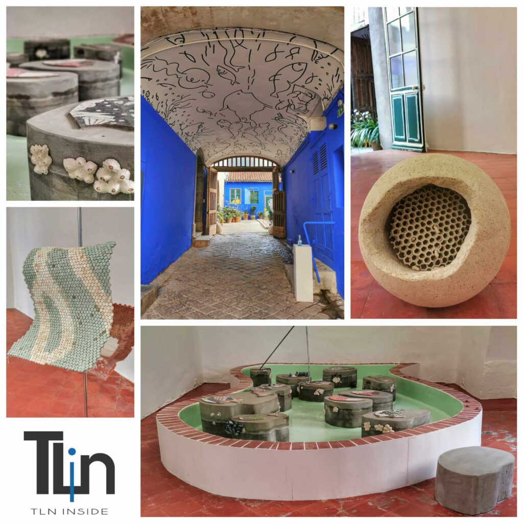 Focus sur les lieux toulonnais : photos de Toulon, lieux culturels ANCIEN EVECHE