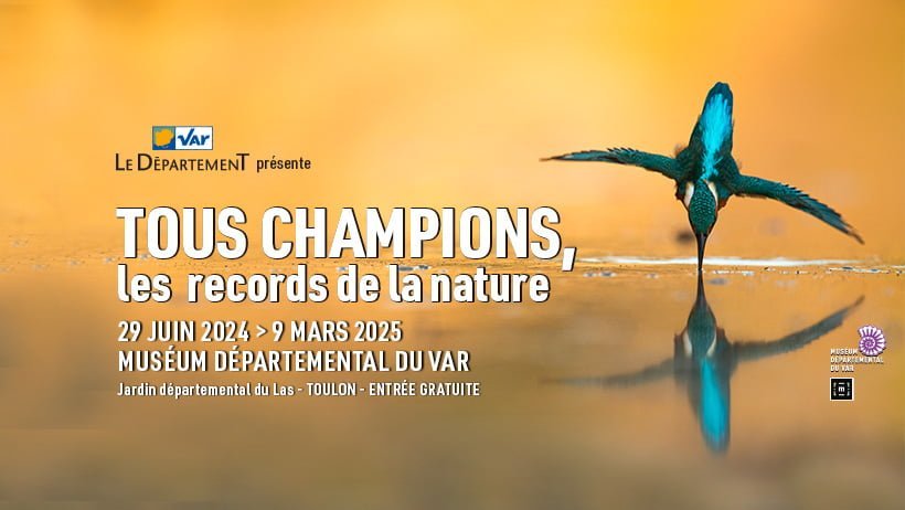 Tous champions, les records de la nature